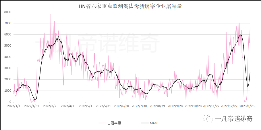 1678178209299916.png 8.png