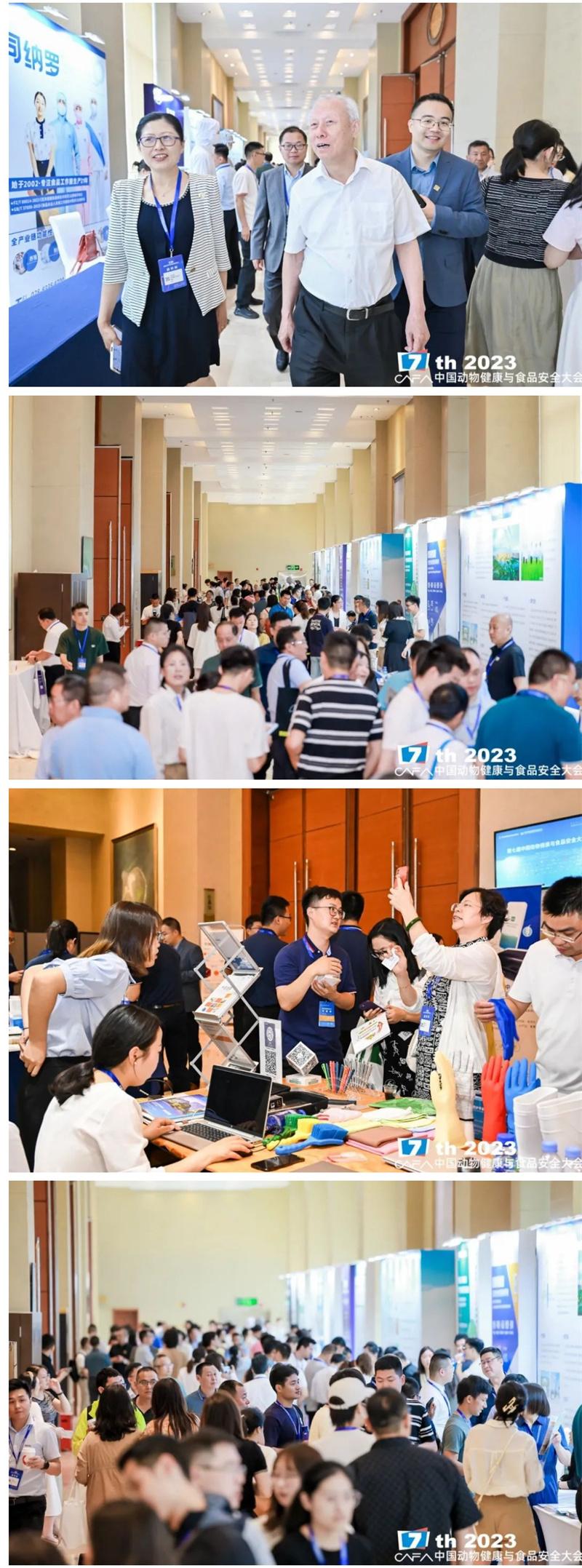 1686802063391312.jpg cfdf06.jpg