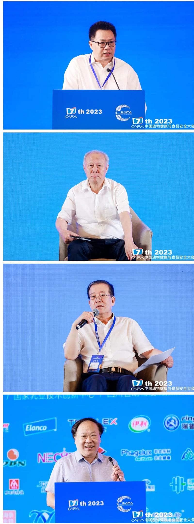 1686802143763935.jpg cfdf02.jpg