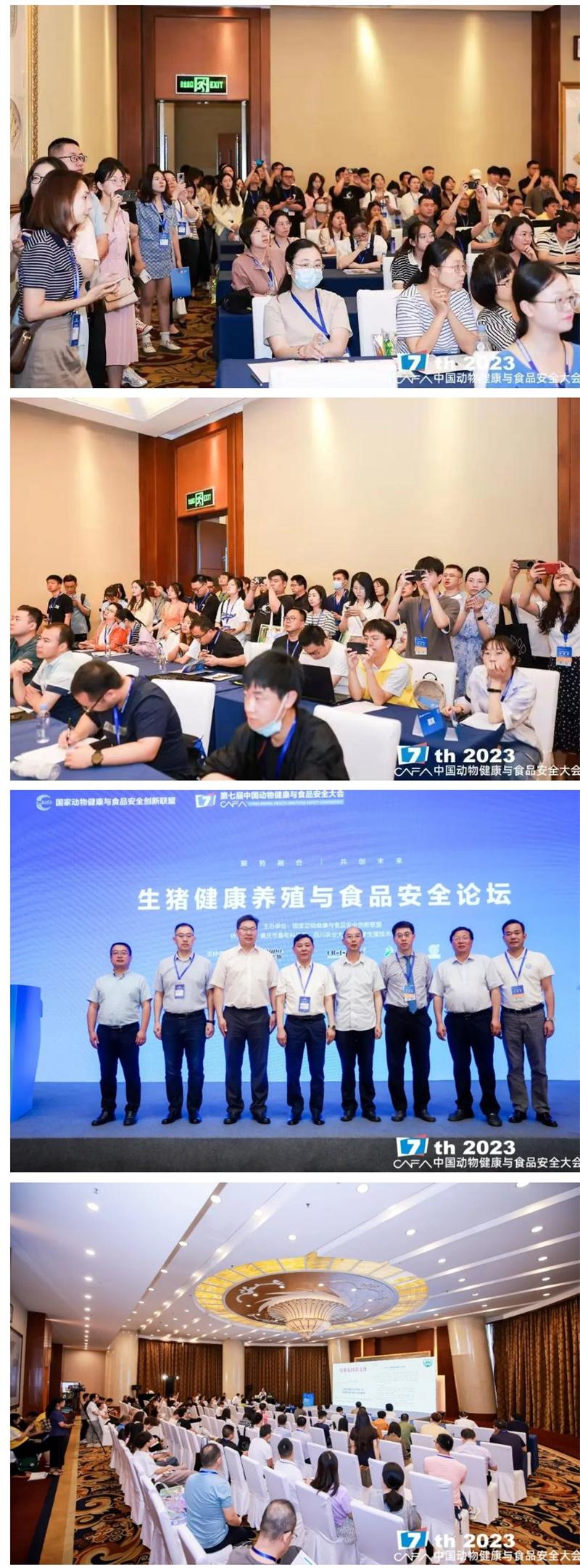 1686802271128999.jpg cfdf03.jpg