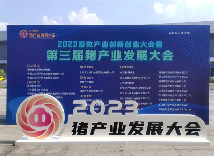 1692870850135803.jpg 60.jpg