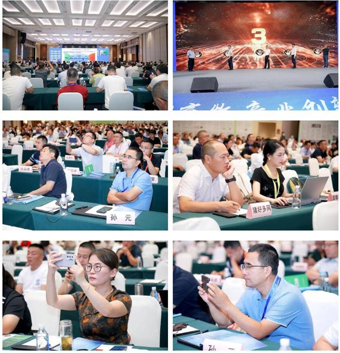 1692870907255399.jpg 013.jpg