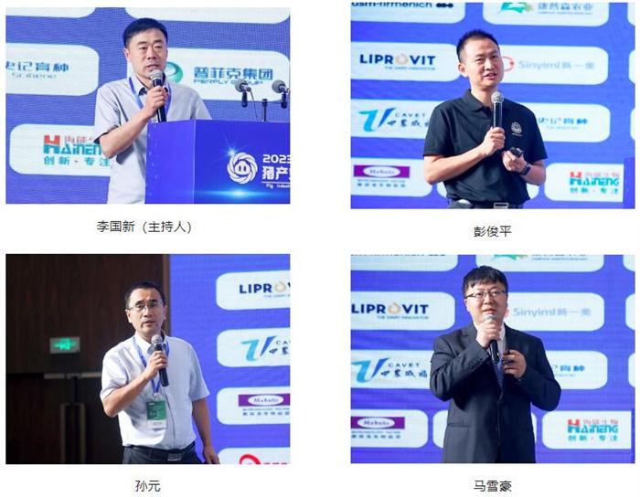 1692871682439208.jpg 006.jpg