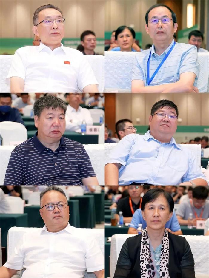 1692872908923002.jpg 5.jpg