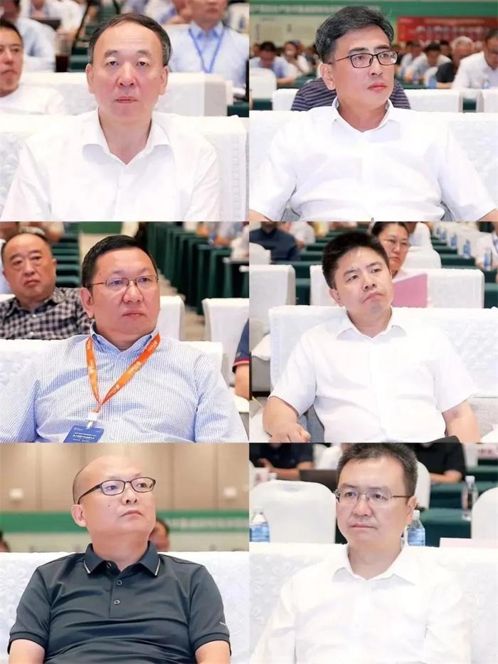 1692872958205766.jpg 3.jpg