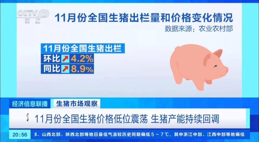 1703470560618389.jpg 1.jpg