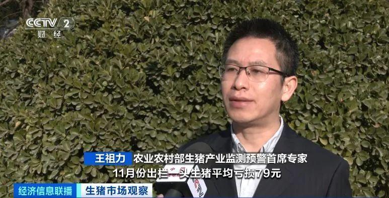 1703470574949289.jpg 2.jpg