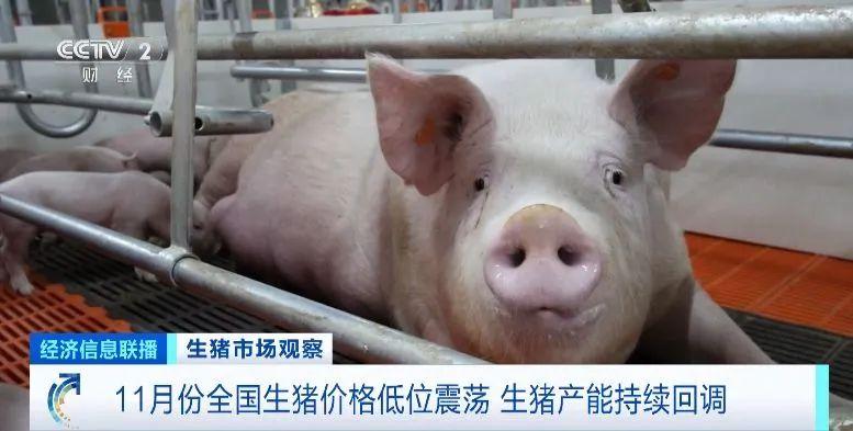 1703470583990210.jpg 3.jpg