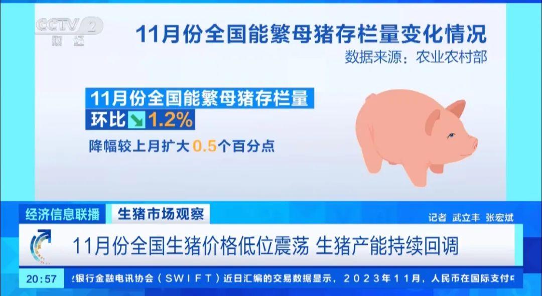 1703470594451627.jpg 4.jpg