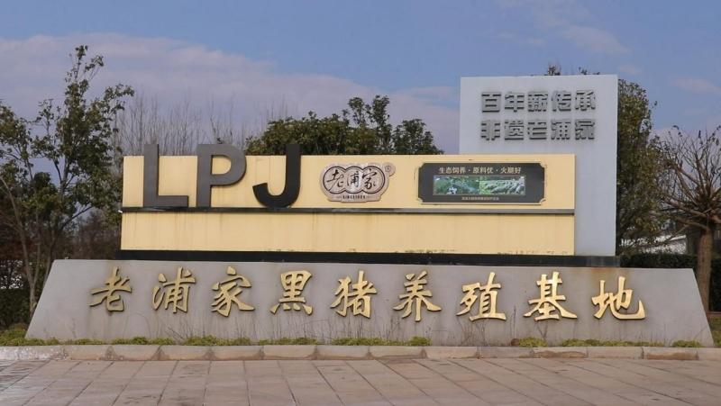 1708652522978340.jpg 095_副本.jpg