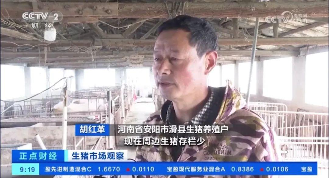 1710836509445499.jpg 2.jpg