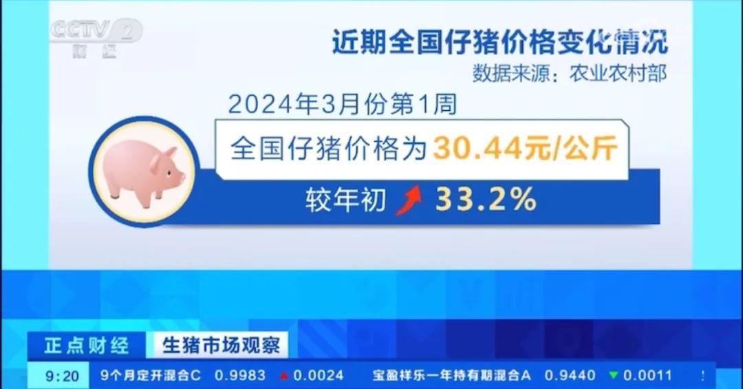 1710836519175562.jpg 3.jpg