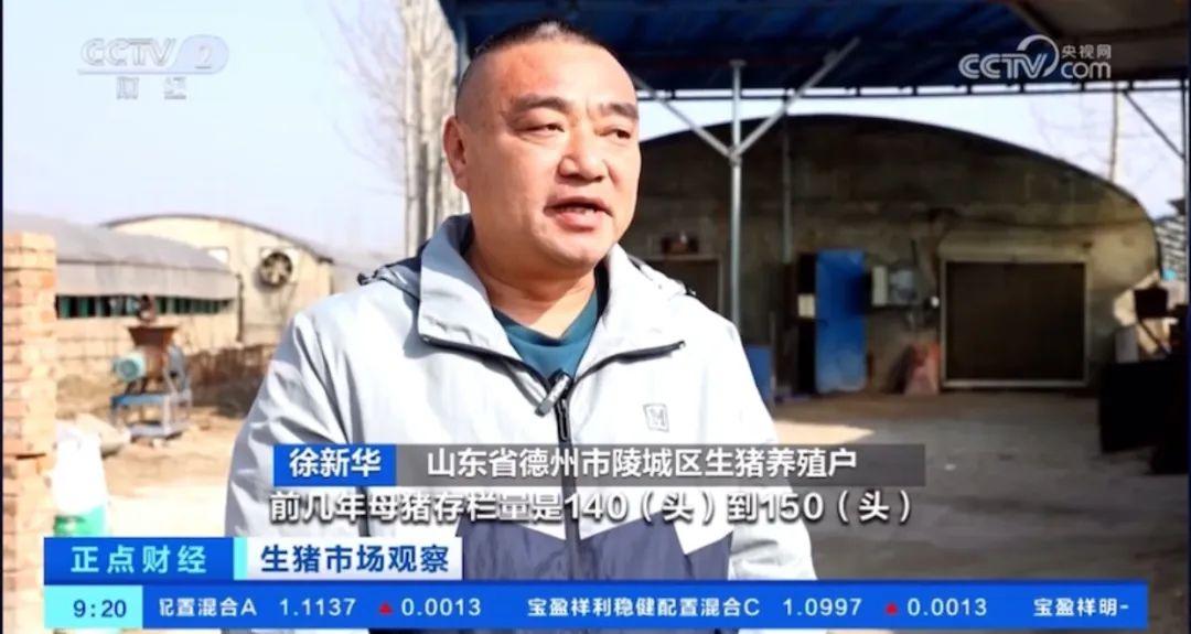 1710836527870259.jpg 4.jpg