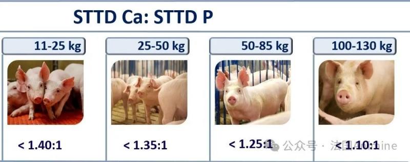 1710926706631737.jpg 644_副本.jpg