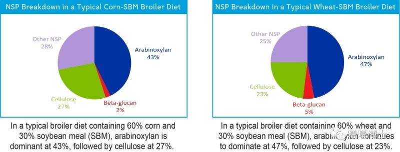 1714471875967594.jpg 147_副本.jpg