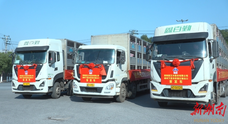 1734656586745274.png 64a9b3a970ac02cb2c7ac38d469d81c4.png