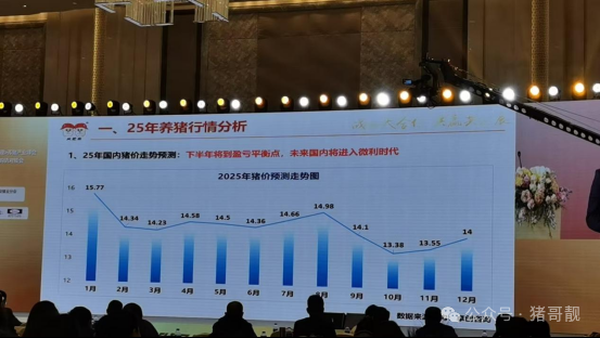 1744181469387996.png 01.png