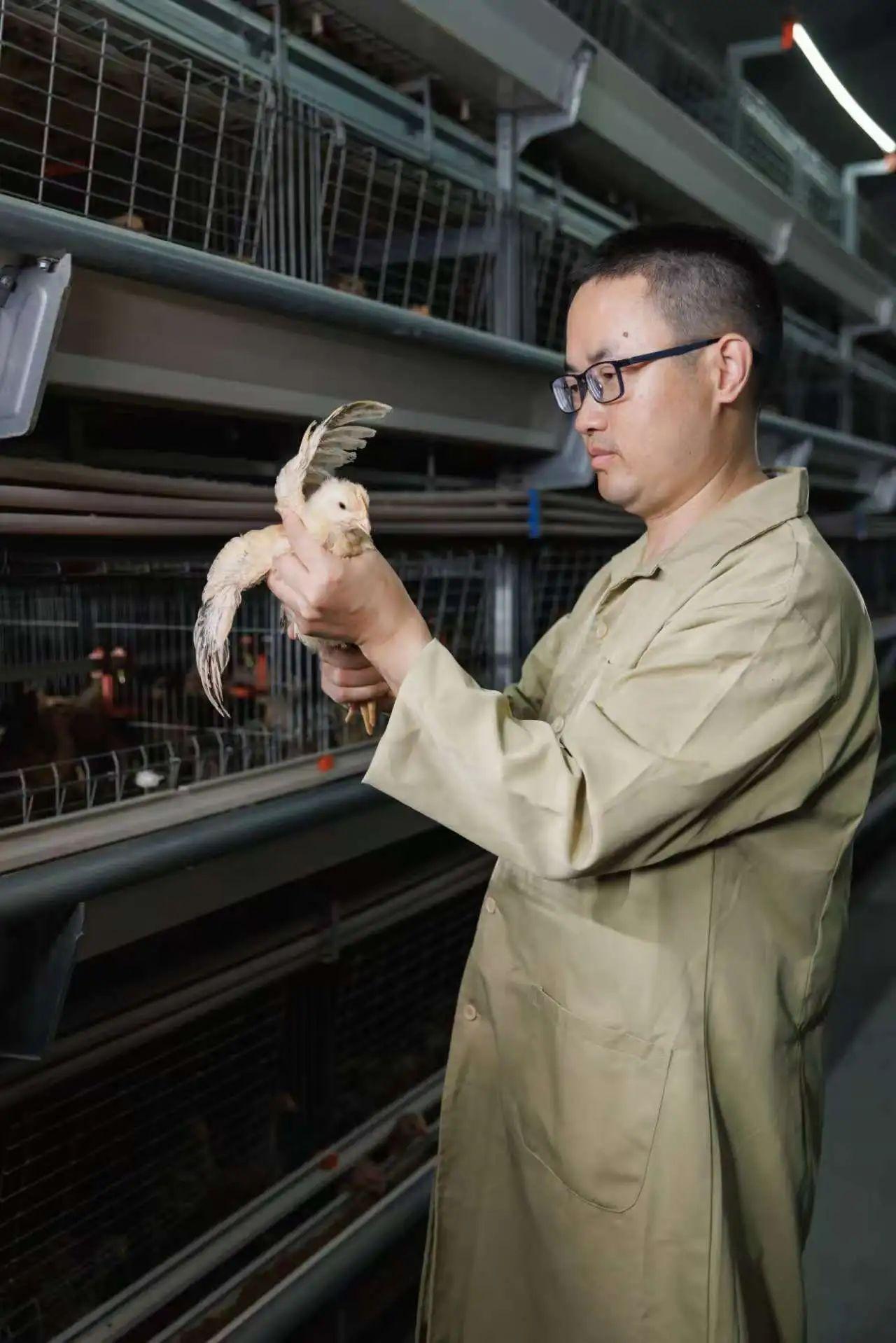 1753754751768142.jpg 1753754751768142.jpg