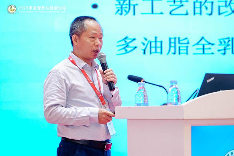 1761093098413853.jpg 27.jpg