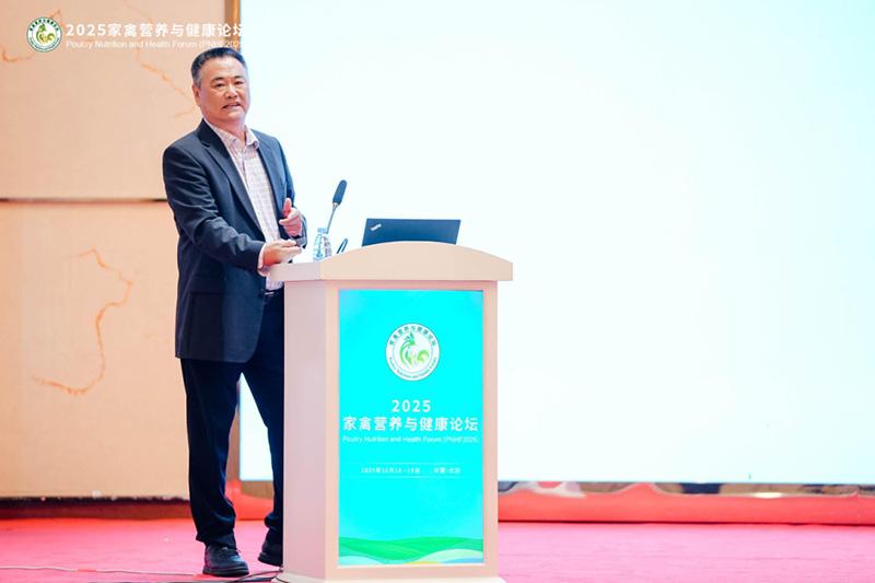 1761093184683327.jpg 15.jpg