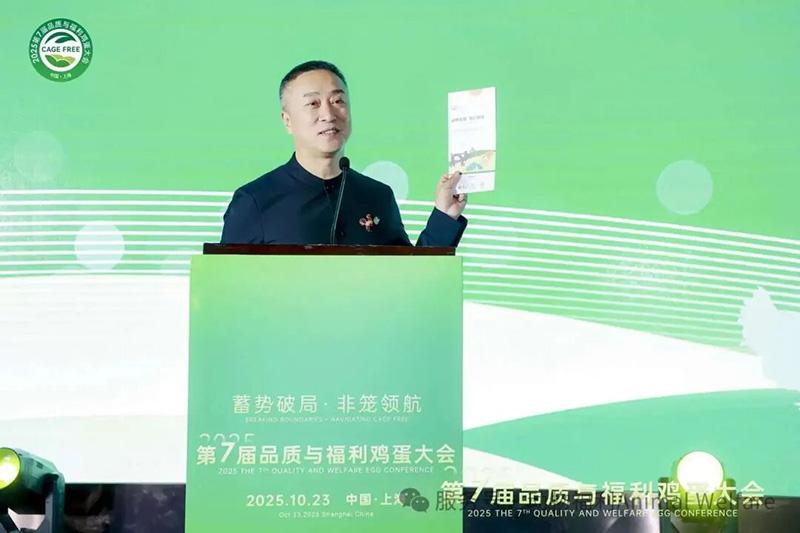 1761277776144203.jpg 81.jpg