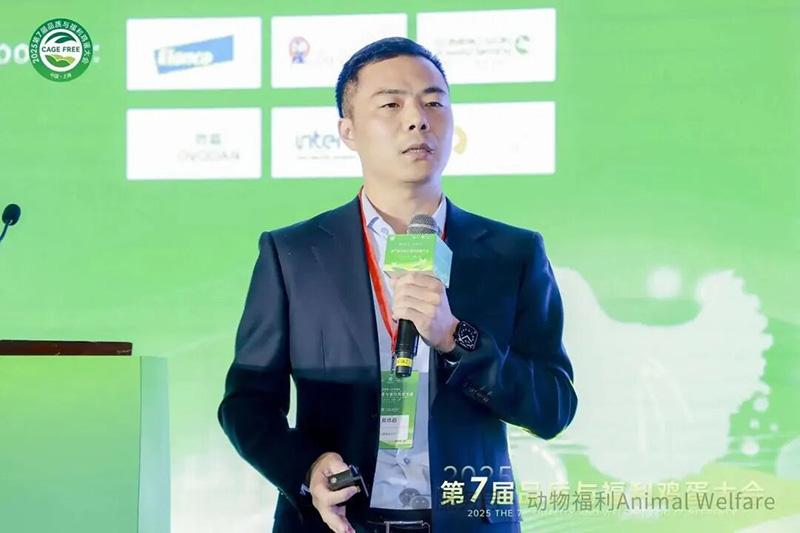 1761277966544826.jpg 85.jpg