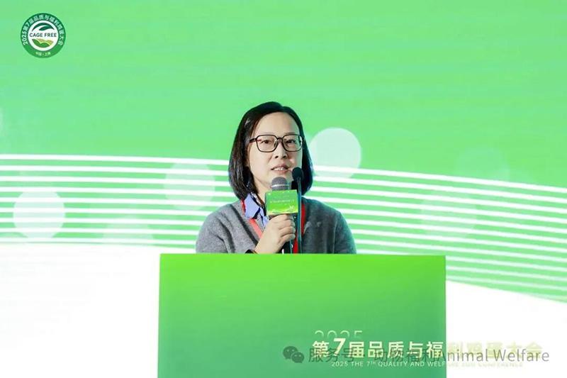 1761278861171655.jpg 104.jpg