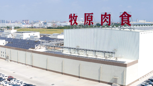 1762823799601000.png 2.png