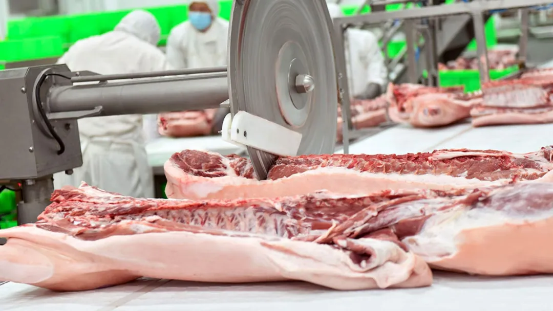 1762823815152994.png 3.png